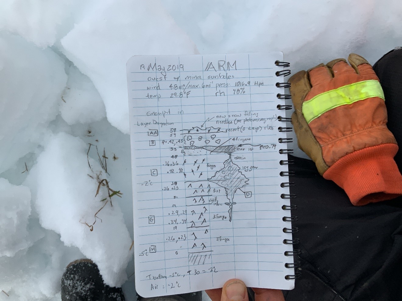 In the spring of 2019, Sturm paused in a snow pit to review a page of his SALVO field notes. 