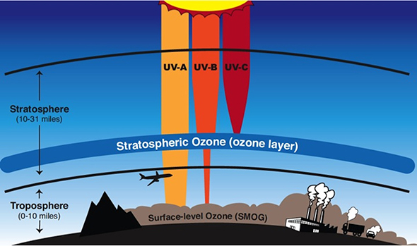The ozone layer in the stratosphere shields life on Earth from most of the two most harmful varieties of ultraviolet radiation, UV-B and UV-C. Graphic is courtesy of NASA.