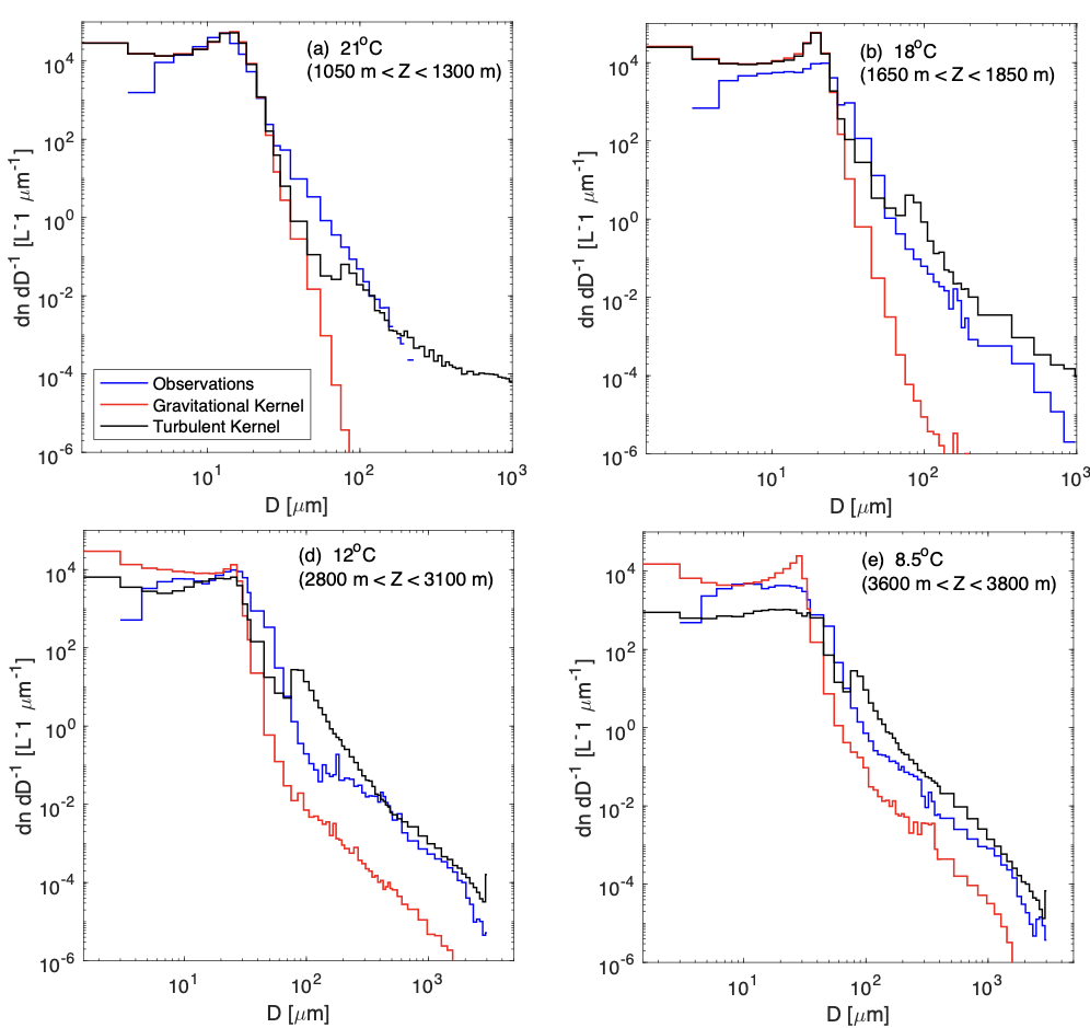 Averaged drop size distributions at different altitudes (A: near cloud base to E: near cloud top) from observations in cumulus congestus clouds during CAMP2Ex (blue) and corresponding LES outputs from simulations with turbulent coalescence (black) and with gravitational drop coalescence only and no turbulent coalescence (red).